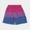 Bisexual Flag Men’s Jogger Shorts