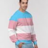 Transgender Flag Men’s Classic French Terry Crewneck Pullover