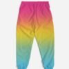 Pansexual Ombré Men’s Track Pants